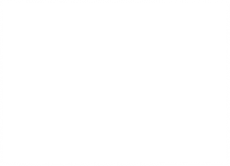 Branding