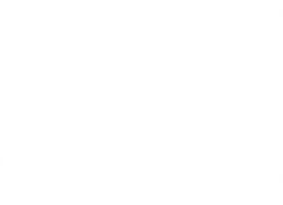 Corporate Identity